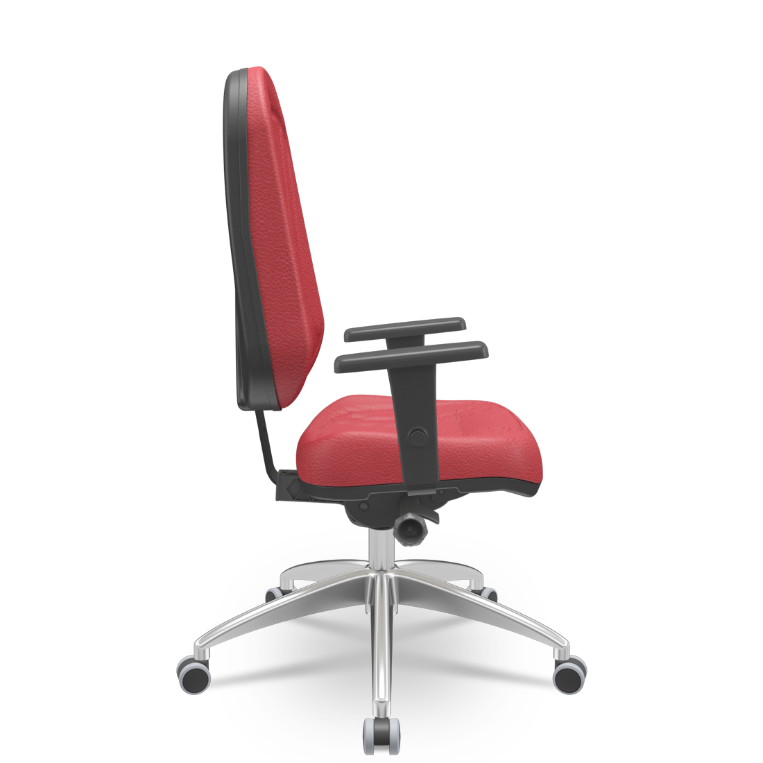 premium-presidente-t33-2